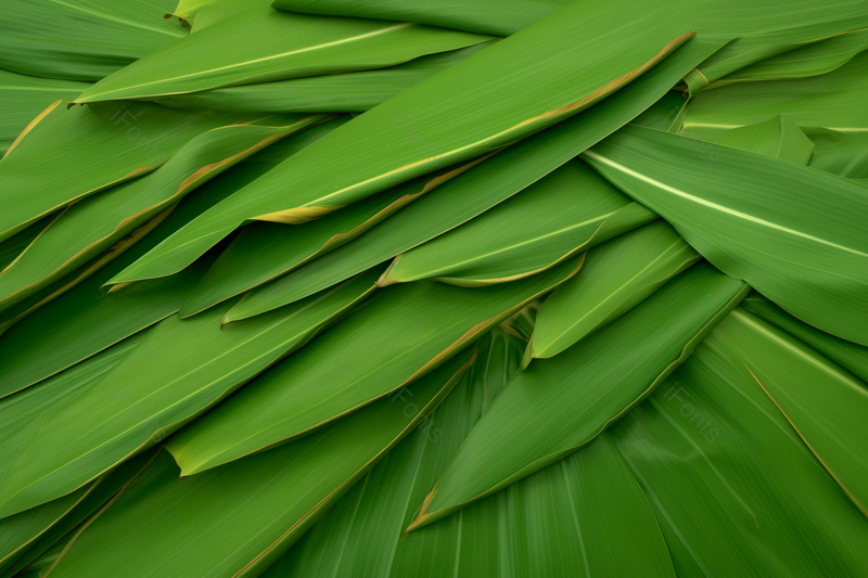 绿色粽子粽叶端午节广告拍摄图片,高清,摄影图,摄影图片,图片大全,摄影图免费下载